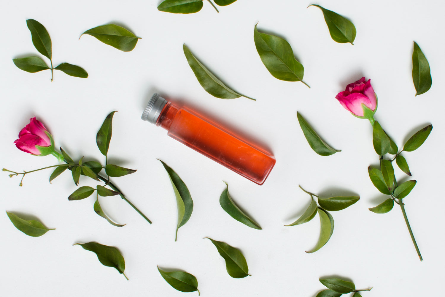 Gut Feeling Pt. 3: Rose Oil for Digestive Health & Immunity ๐น๐ก๏ธ