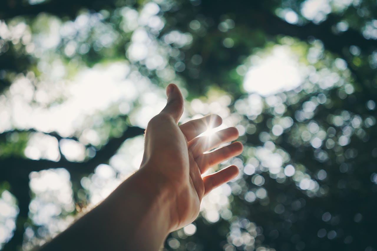 Healing Hands: The Angel Behind Oleia Oil 😇🥼