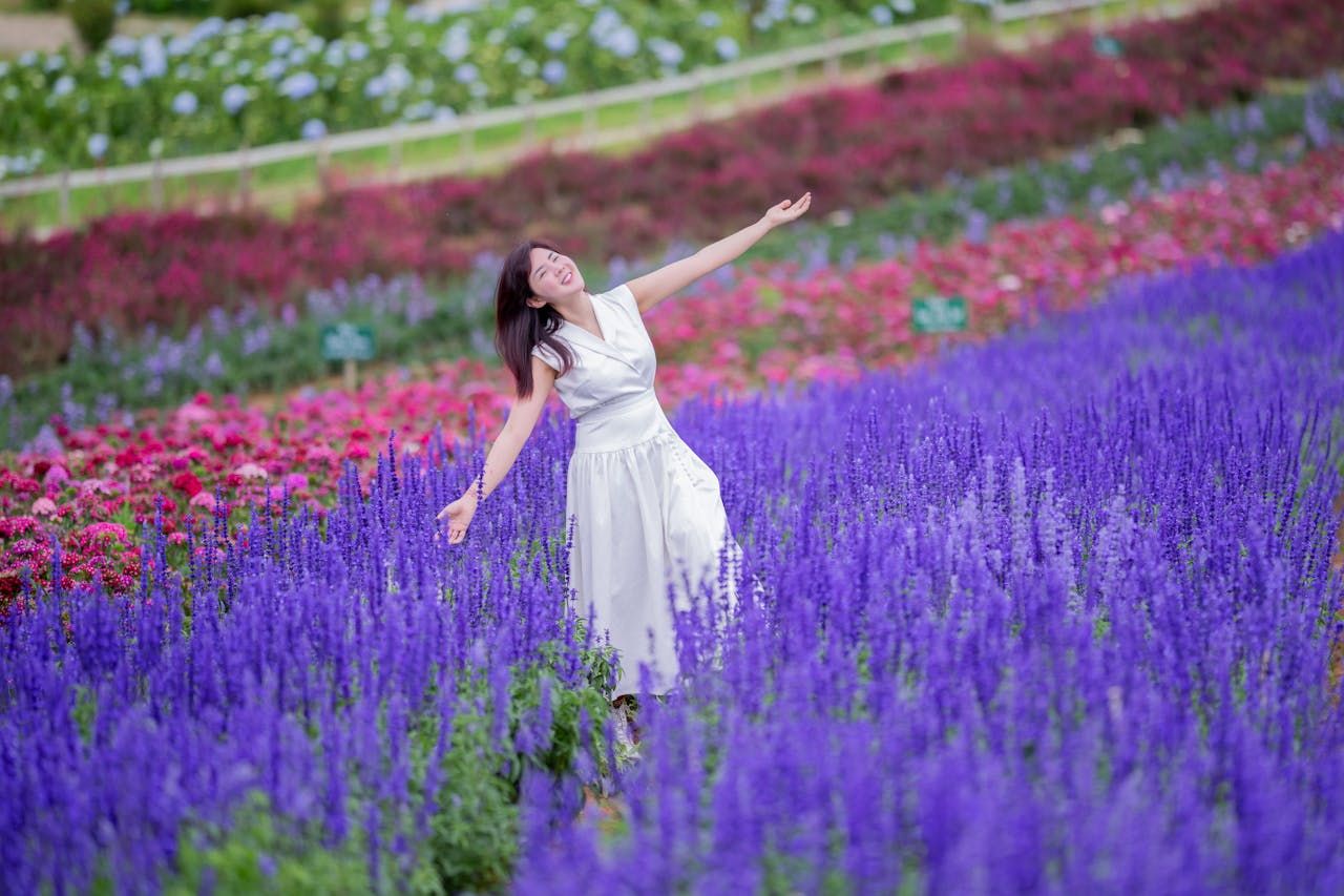 The Power of Inflammation-Fighting Essential Oils: Nature’s Anti-Inflammatory Tools 🌿👊