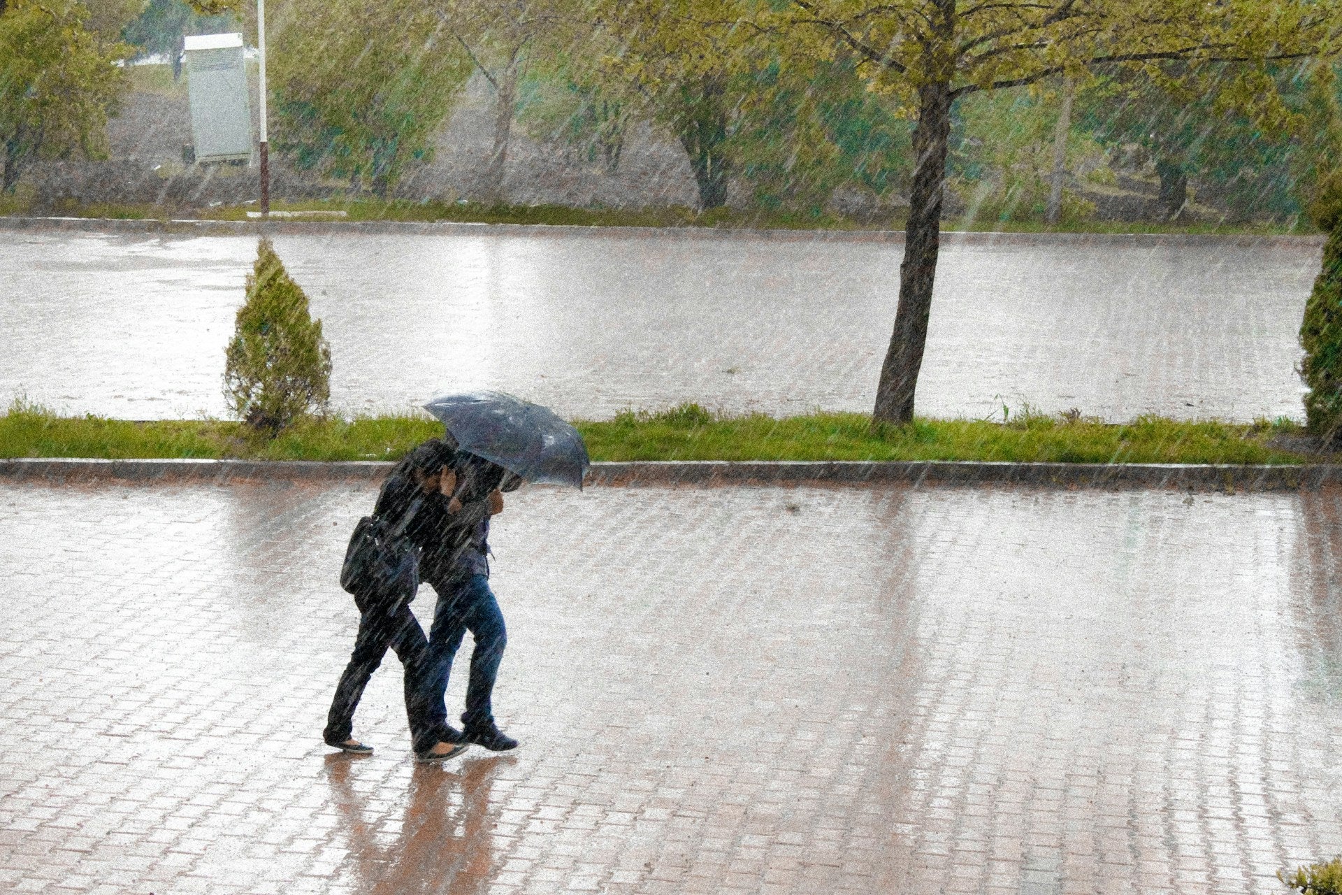 Soaked in the Rain: Here’s Why You Should Shower ☔🚿