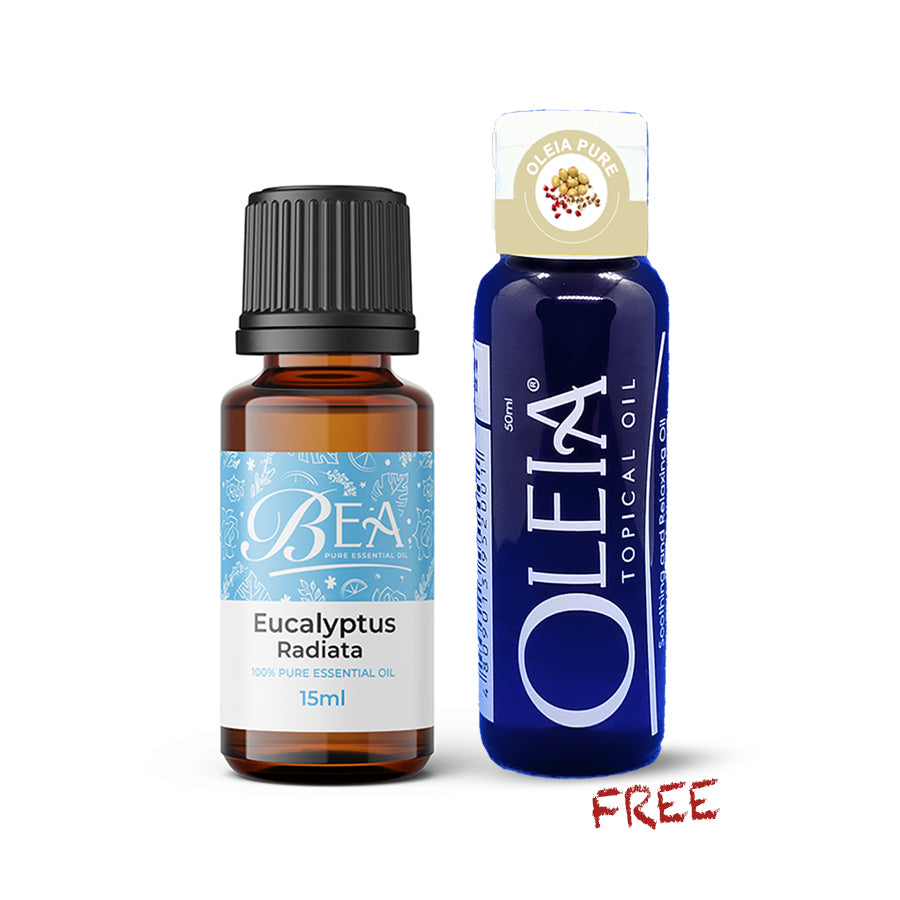 Eucalyptus Radiata Pure Essential Oil 15ml + Free Oleia Pure 20ml-Oleia Oil