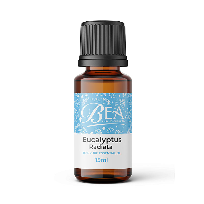 Eucalyptus Radiata Pure Essential Oil 15ml + Free Oleia Pure 20ml-Oleia Oil