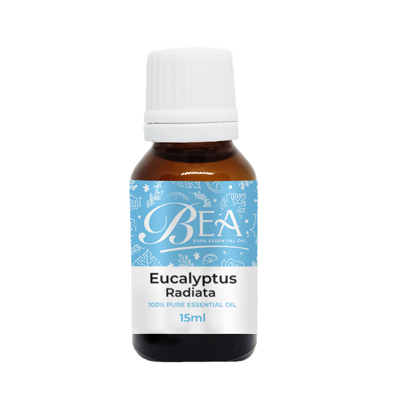 Eucalyptus Radiata Pure Essential Oil 15ml - Oleia Oil