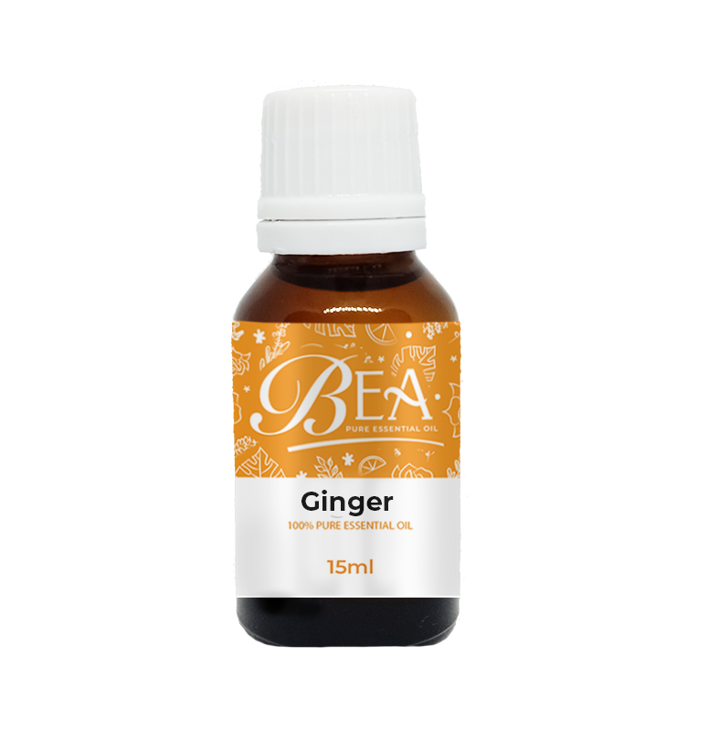 Ginger Pure Essential Oil 15ml - Oleia Oil