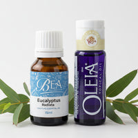 Thumbnail for Eucalyptus Radiata Pure Essential Oil 15ml + Free Oleia Pure 20ml